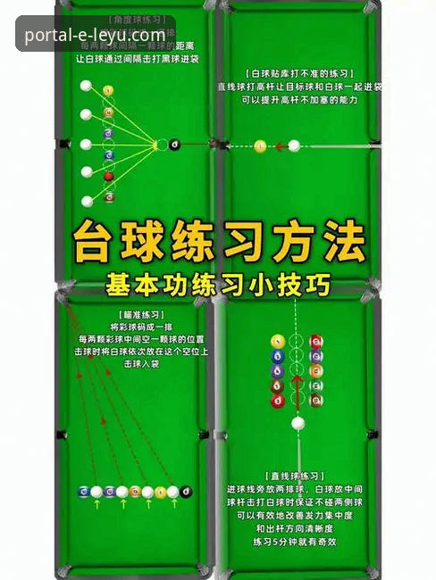 乐鱼体育平台客户端高效使用教程：从入门到精通的实用技巧
